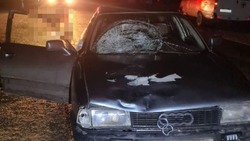 Пешеход погиб под колёсами легковушки в селе Архангельском