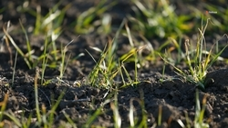 Глава Ставрополья предложил сделать борьбу с опустыниванием частью нацпроекта