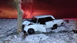 Неопытный водитель врезался в дерево на трассе под Будённовском