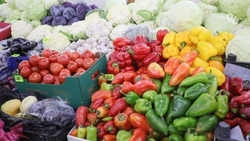 Жителям Будённовска напомнили о правилах питания в жаркую погоду