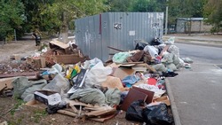 В Будённовском округе власти призвали жителей не засорять контейнерные площадки