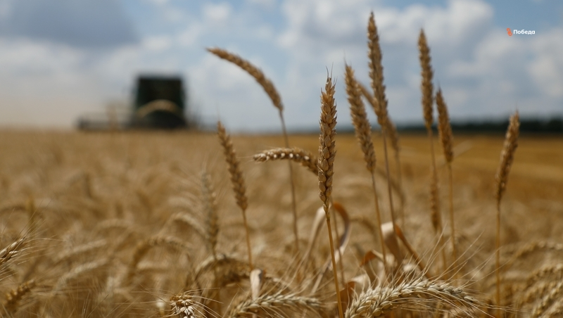 Ставропольским аграриям направят 1,4 млрд рублей льготных кредитов