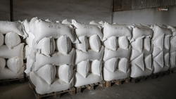 Экспорт ставропольской продукции увеличится на 17% в 2024 году