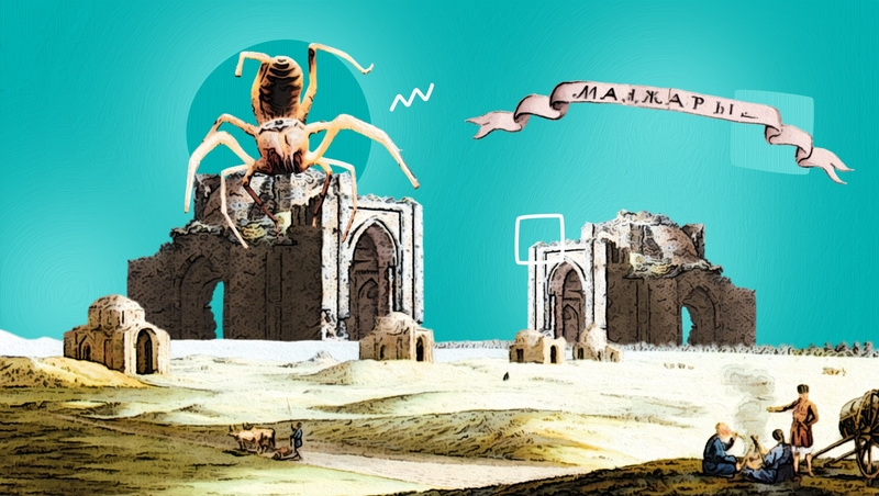 Тайны Буйволы и нашествие гигантских пауков: Будённовский биолог рассказал, как исчез древний город Маджар