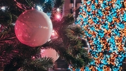 Ставрополье присоединяется к акции «Ёлка желаний»