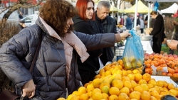 Предновогодняя ярмарка проходит в Будённовске 27 декабря 