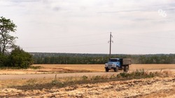 Губернатор Владимиров поставил задачу увеличить сбор кукурузы на Ставрополье 