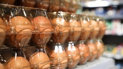 Десяток яиц за 90 рублей будут продавать на ставропольских предновогодних ярмарках
