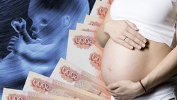 До 1 миллиона рублей могут получить суррогатные матери на Ставрополье