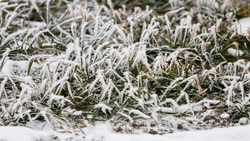 Ставропольцев предупредили о похолодании на выходных