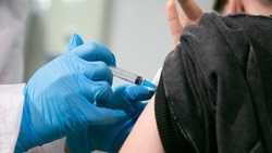 Губернатор Владимиров: почти 400 тыс. ставропольцев сделали прививку от гриппа