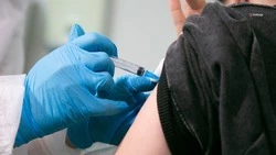 Более 250 тыс. ставропольцев уже привились от гриппа — губернатор