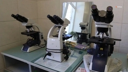 В Буденновском округе проверили семена озимых культур под урожай 2025 года