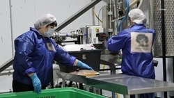 Ставропольский производитель улучшил выручку, внедрив бережливые технологии