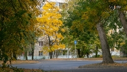 Температура +27 градусов ожидает будённовцев 6 и 7 сентября