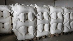 Ставрополье экспортировало аграрную продукцию на 519 млн долларов