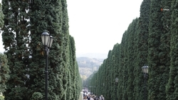 Дети из семей, оказавшихся в трудной жизненной ситуации, смогут отдохнуть на Кавминводах 