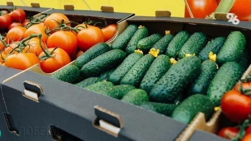 Сектору АПК возместят затраты при производстве тепличных овощей на Ставрополье