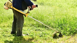 В Будённовском округе проходит покос сорняков и благоустройство зелёных зон