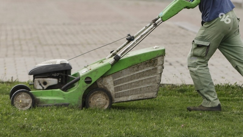 Специалистов по озеленению и выращиванию кристаллов ищут на Ставрополье