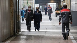На Ставрополье появится новое производство по выпуску минеральных удобрений