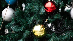 В Будённовске 13 декабря зажгут главную ёлку и проведут парад Дедов Морозов