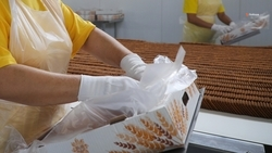 Около 5 тыс. человек трудоустроили на Ставрополье с начала года