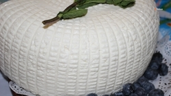 Свыше 170 тонн ставропольской молочной продукции экспортировали в 2023 году