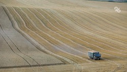 План приспособления сельхозземель к изменениям климата формируют на Ставрополье