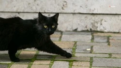 До +6 градусов и облачная погода ожидается 8 марта в Будённовском округе