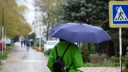 Дождливые выходные ожидают жителей Будённовского округа