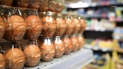 На 4,6% снизились цены на куриные яйца на Ставрополье