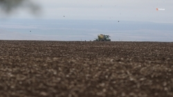 Сев озимых культур завершён в Будённовском округе