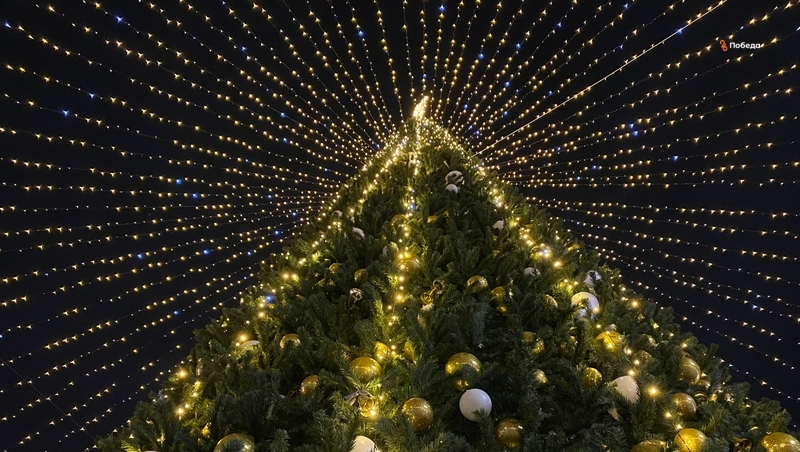 Главную городскую ёлку Будённовского округа откроют 14 декабря