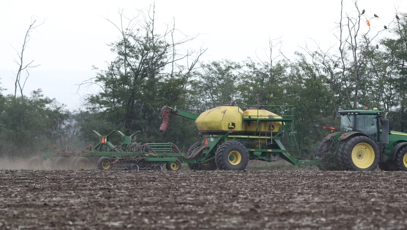 В Будённовском округе ускорят обновление минерализованных полос
