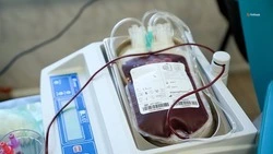 В Будённовске пройдёт акция по сдаче крови, которую отправят бойцам СВО