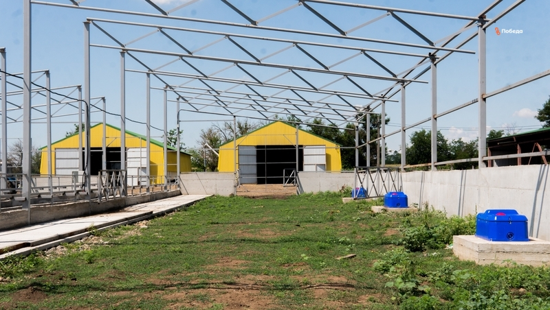 Для семейных ферм на Ставрополье заложили 94,4 млн рублей грантовой господдержки