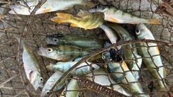 Соревнования по рыбалке организовали для детей Будённовского округа