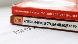 Участницу телефонной схемы мошенничества осудили в Будённовске
