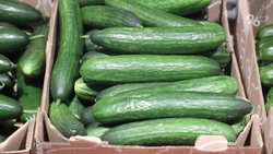 На 0,4% выросли цены на товары и услуги на Ставрополье за ноябрь