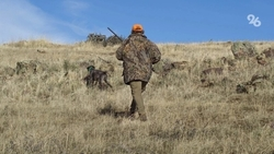 В минприроды Ставрополья напомнили охотникам о правилах безопасности