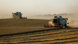 В 2022 году в Будённовском округе проведут уборку зерновых на площади около 130 тысяч гектаров