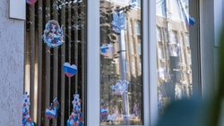 Жителей Будённовского округа приглашают поучаствовать в акции «Окна России»