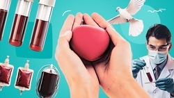 «Спасти кому-то жизнь»: Как прошла донорская акция в Будённовске и что нужно знать о сдаче крови