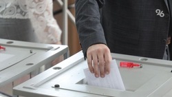 Почти 90% жителей России считают выборы важным событием для страны и населения — опрос