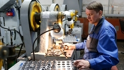 Налоги от промышленности и торговли составили почти половину бюджета Ставрополья в 2022 году