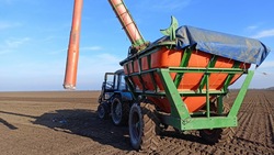 Аграрии Будённовского округа засеяли яровыми 10 тыс. га площадей