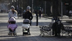 На Ставрополье расширяют меры поддержки многодетных семей