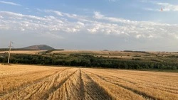 Почти 81% сельхозземель Ставрополья находятся под угрозой эрозии – губернатор