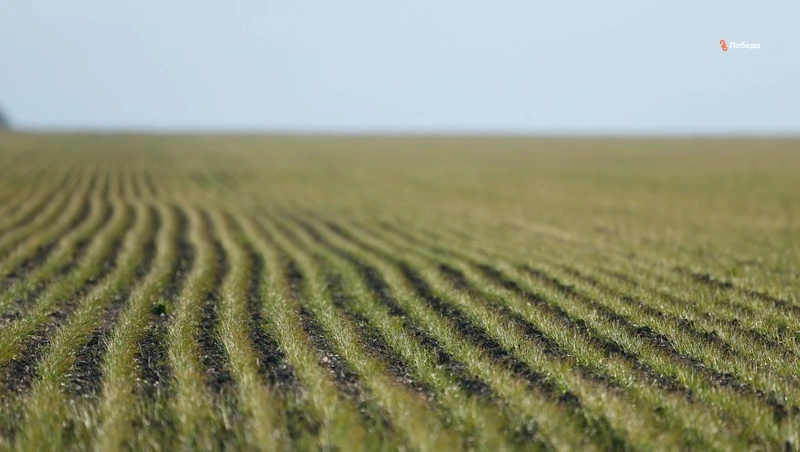 На Ставрополье искусственный интеллект будет следить за состоянием земель